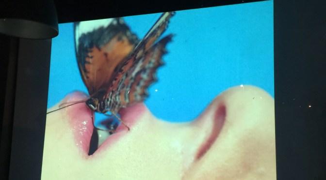 We cross over Smith Street to the end of the Line